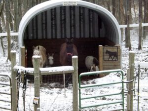 Una estructura pequeña del Modelo S de SteelMaster. Hay un caballo y otros animales dentro del refugio. Hay nieve en la tierra y en el techo de la estructura, pero los animales están dentro del refugio. Estructuras como estas pueden proteger a los animales de la granja.